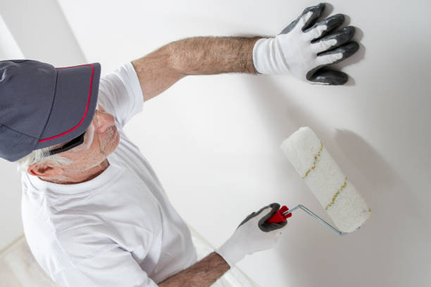 Reliable Clarks Summit, PA Mold Removal Solutions