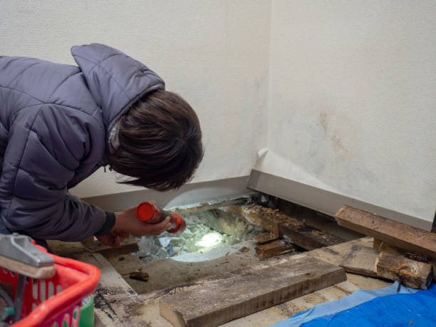 Best Commercial Mold Inspection  in Clarks Summit, PA