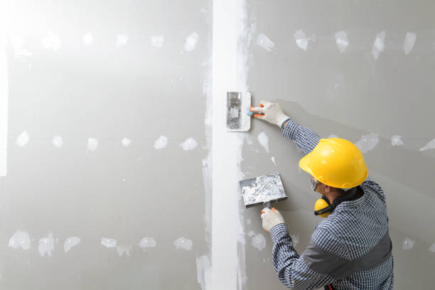 Best Mold Damage Restoration  in Clarks Summit, PA