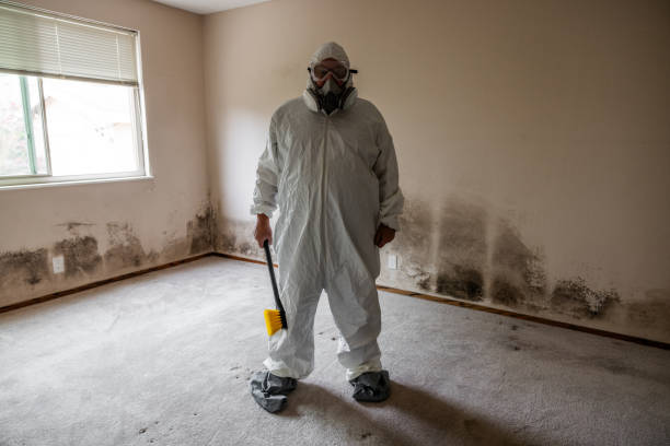 Best Mold Remediation for Healthcare Facilities  in Clarks Summit, PA